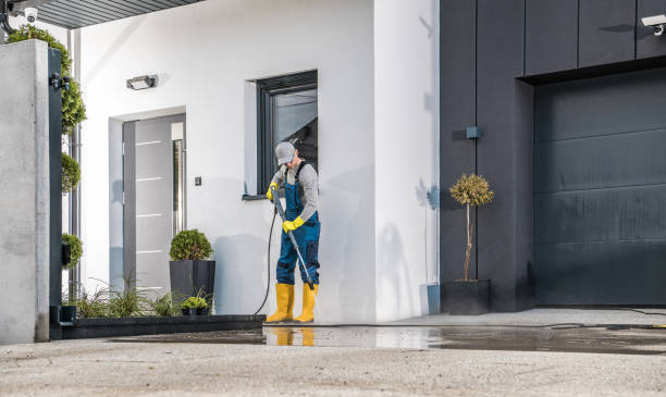 Best Dumpster Area Cleaning  in Bellwood, IL